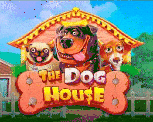 play The Dog House in spinitcasino